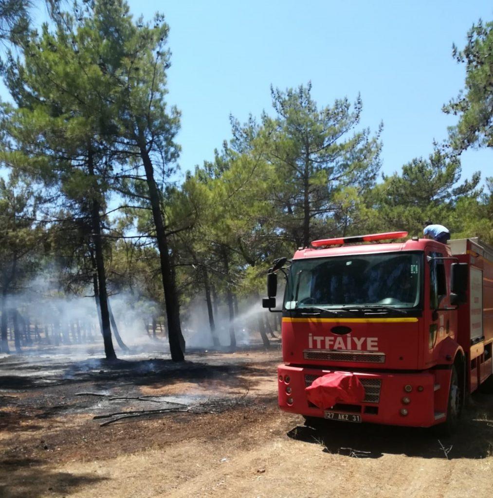 Burç Ormanı’ndaki Yangın Erken Müdahale İle Söndürüldü