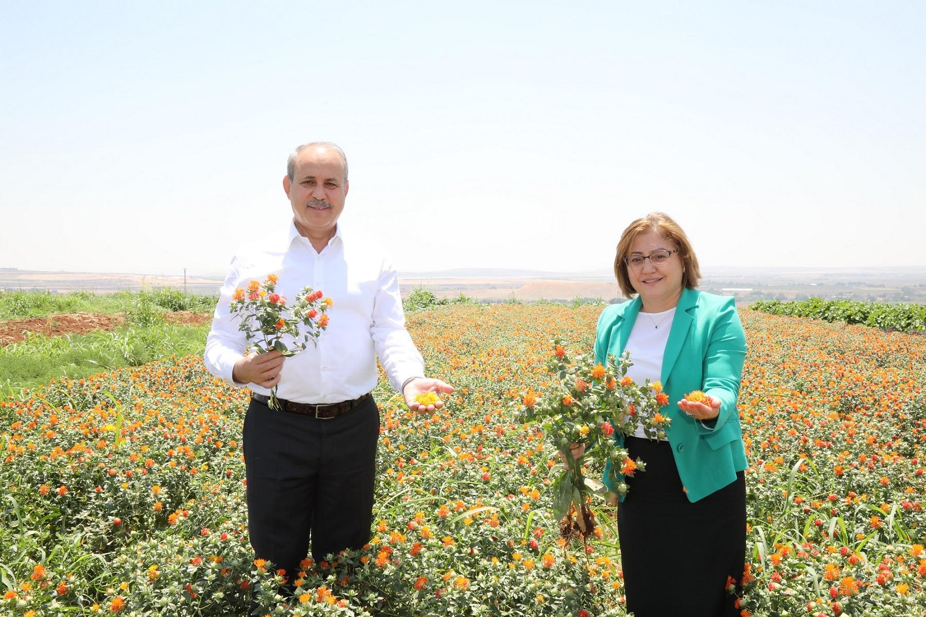 Şahin: Yeşil Altınımız Fıstık