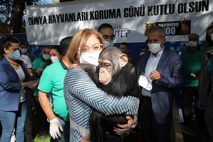 Fatma Şahin: Dünya Hayvanları Koruma Gününü Kutladı