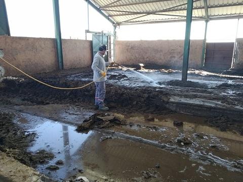 Gaziantep Büyükşehir Belediyesi Üç Gün Hastalığı ile Mücadele Başlattı | 23 Ekim 2020