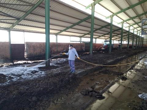 Gaziantep Büyükşehir Belediyesi Üç Gün Hastalığı ile Mücadele Başlattı | 23 Ekim 2020