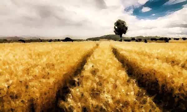 Tarım Sigortalarında Sigorta Şirketlerinin Rolü