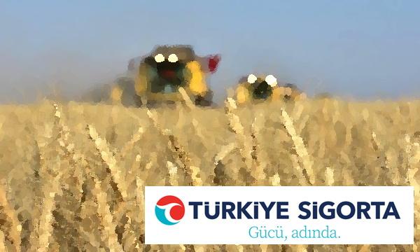 Türkiye Sigorta Çiftçilerin Yanında