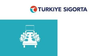Türkiye Sigorta Kurumsal Yapı ve Yönetim