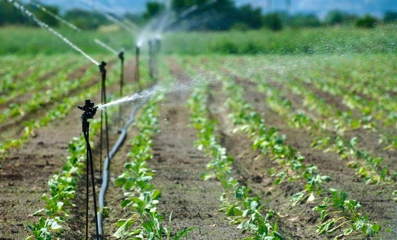 20 Milyon Lira Çiftçinin Cebinde Kaldı
