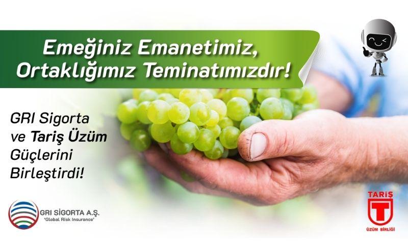 Tarım Sigortaları Alanında Farklılık Yaratmayı Hedefleyen Bir Şirket: GRI Sigorta