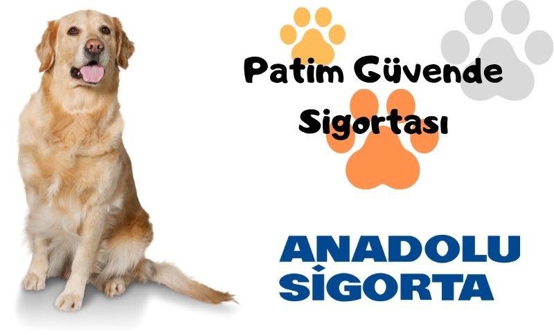 Anadolu Sigorta Patim Güvende Sigortası evcil köpek