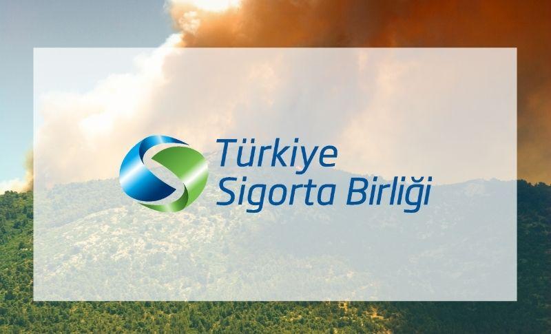 Türkiye Sigorta Birliği TSB Orman Yangınlarıyla İlgili Kamuoyu Duyurusu