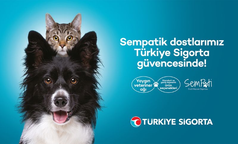 Türkiye Sigorta’dan Sempati Evcil Hayvan Sigortası
