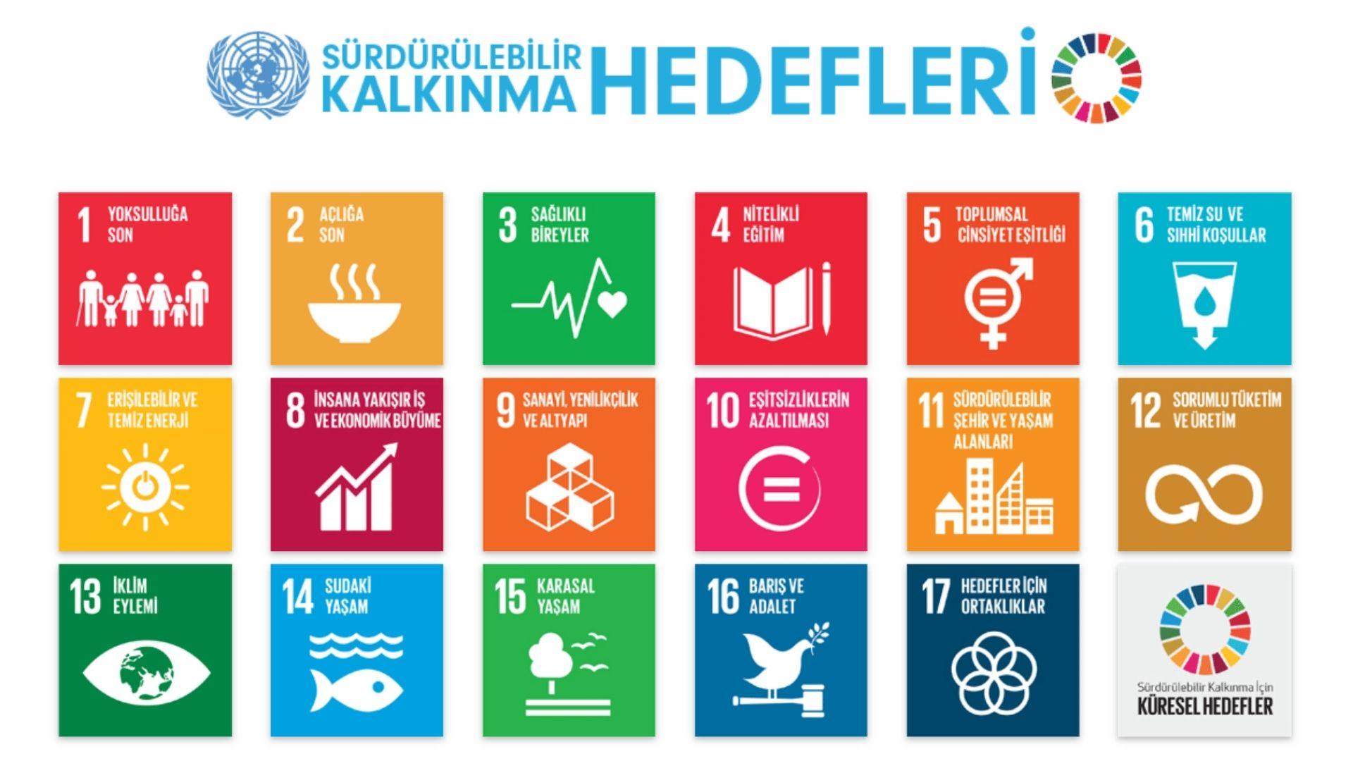 Dünya Hayati Önemdeki SKA Hedeflerinde Yerinde Sayıyor