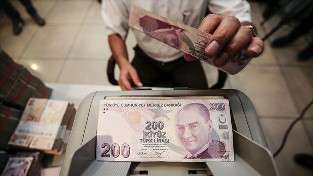 Döviz Kredisi Artışı ve Kredi Büyümesindeki Yavaşlama