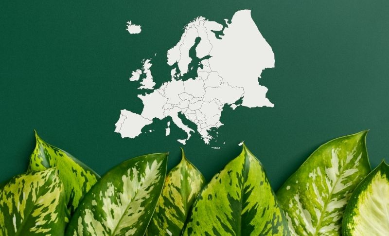 Avrupa Yeşil Mutabakatı