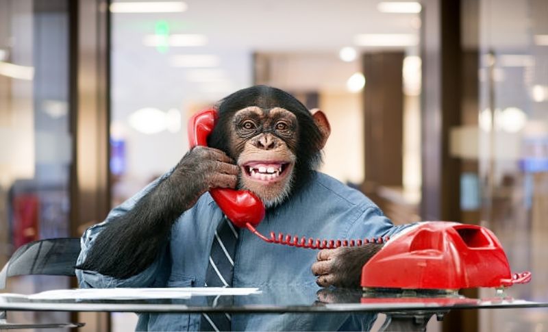 Dijital Çağda İrtibatı Kesme Hakkı Var!