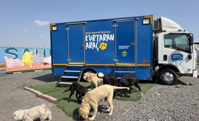 Anadolu Sigorta – Kurtaran Araç Sokak Hayvanlarına Umut Oluyor