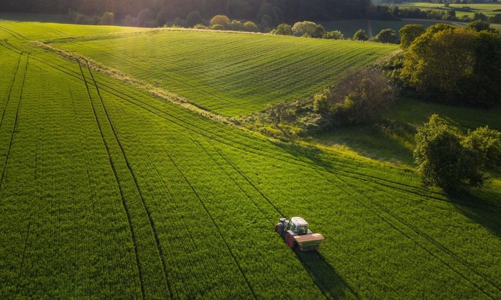 Allianz Trade: Yatırımcılar İkili İklim Riskleriyle Karşı Karşıya | 9 Mart 2025