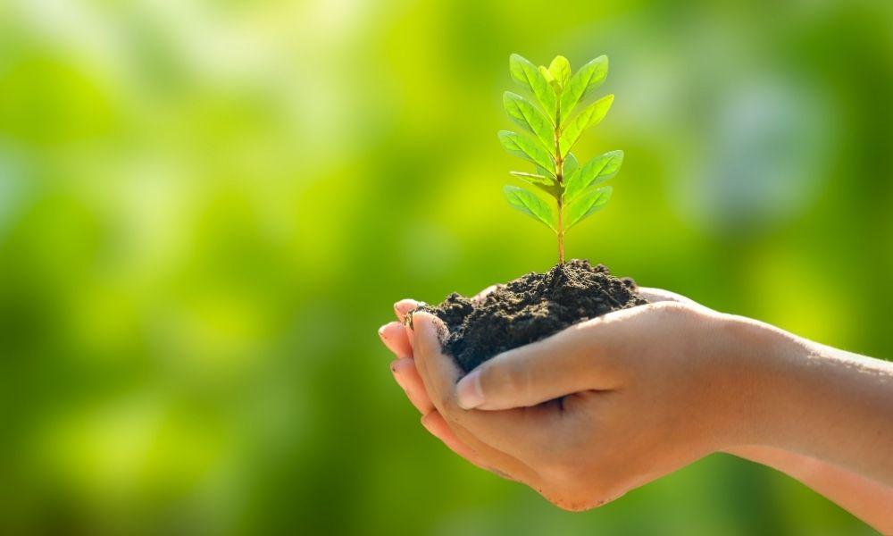 Yeşil Sertifika Artık Zorunlu!