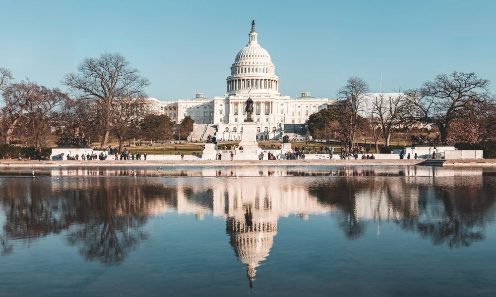 Amerika'da Turmp Etkisi ve Beklenitler