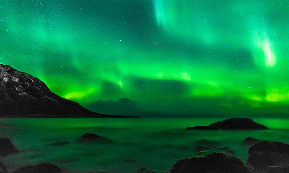 Norveç'in Avrupa ve Dünya Ekonomisindeki Yeri