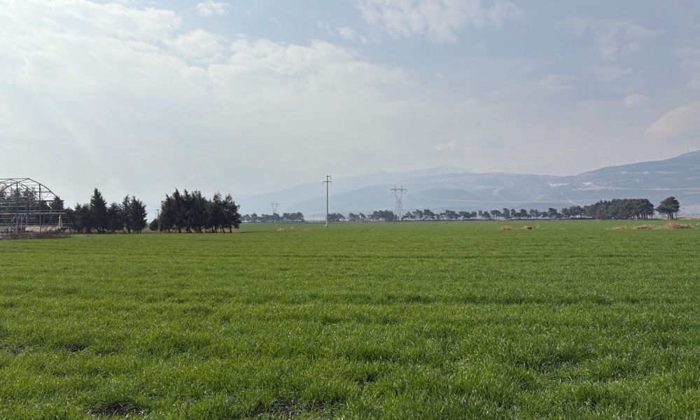 Quick Sigorta’dan Nurdağı’na Tarım Lisesi Yatırımı | 8 Mayıs 2025