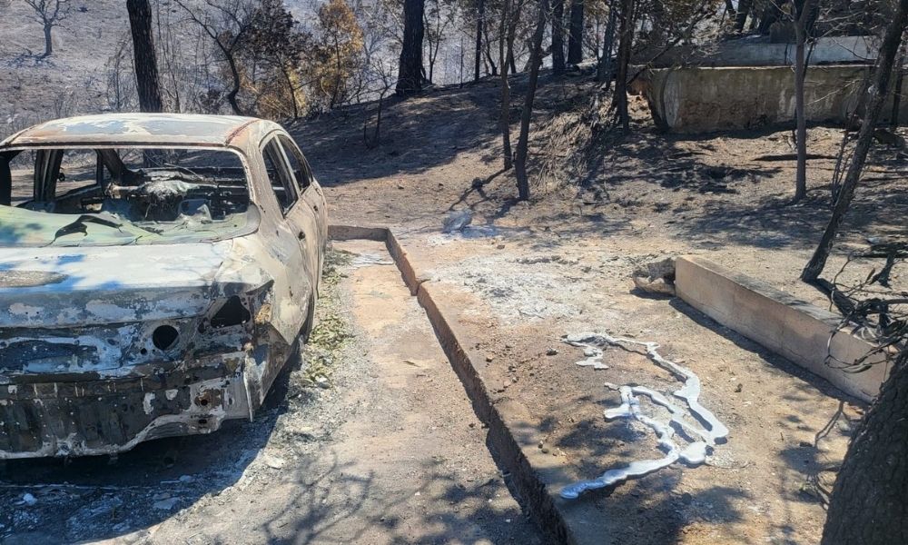 TÜSED: Eksik Sigorta Büyük Mağduriyet Yaratıyor