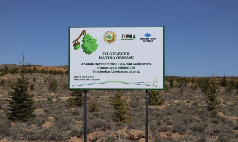 Anadolu Hayat Emeklilik 10 Bin Fidan Dikti