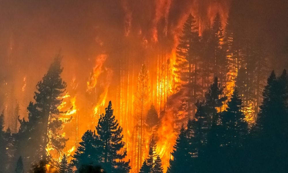 Avrupa’yı Yangınlar Vurdu