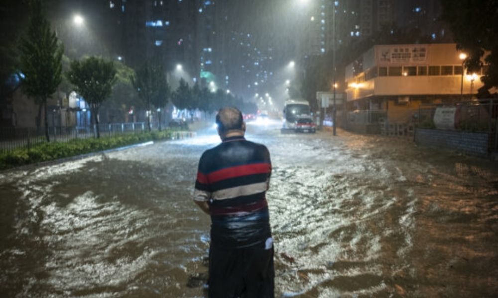 Hong Kong Selden Korunma Stratejisini Geliştirdi