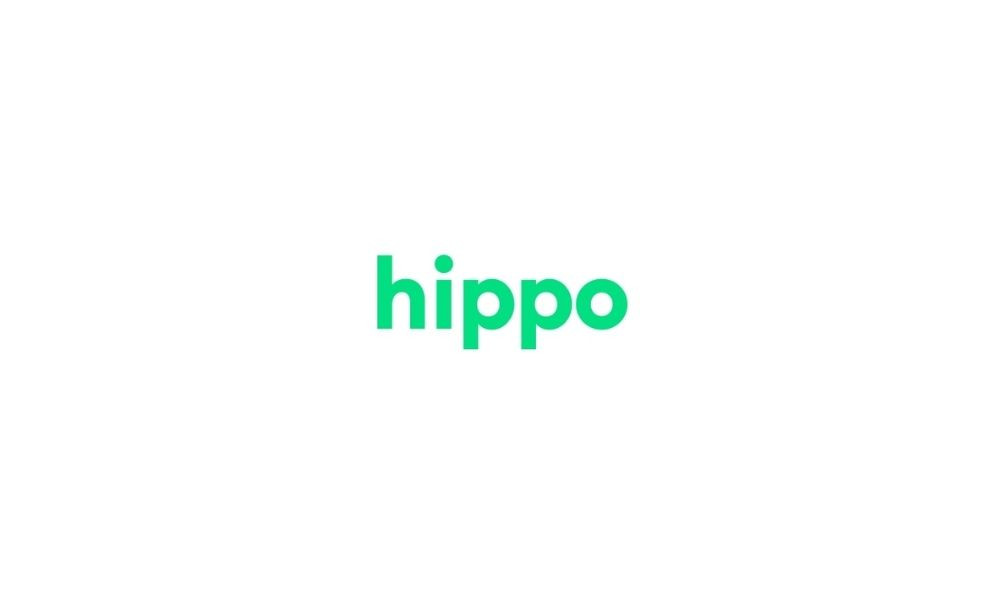 Robin Gordon, Hippo'ya CDO Olarak Atandı | 3 Ekim 2025