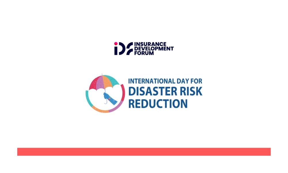 IDF: Afet Riskini Azaltmak Ekonomik Gereklilik