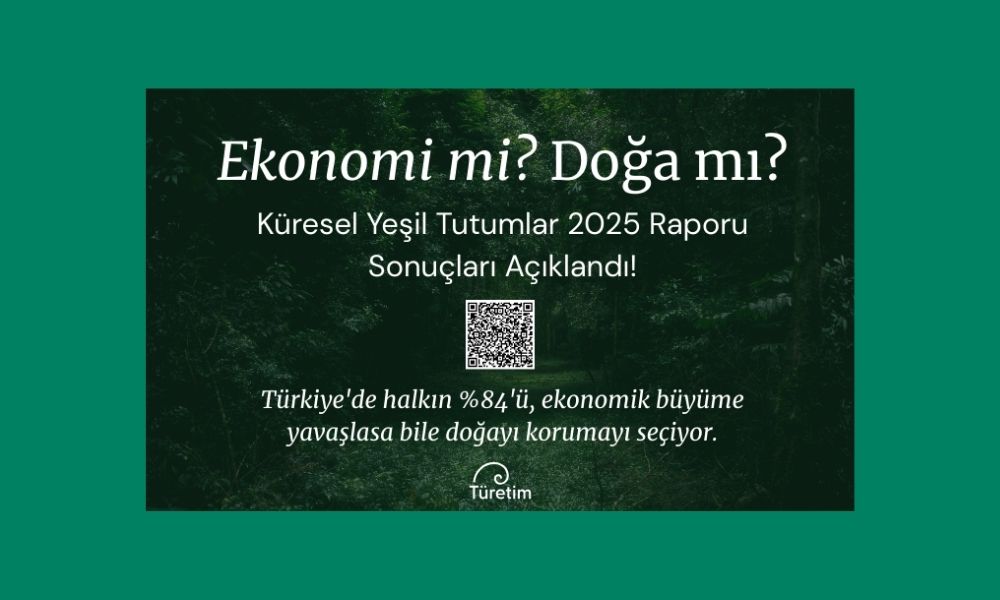 Küresel Yeşil Tutumlar Anketi 2025