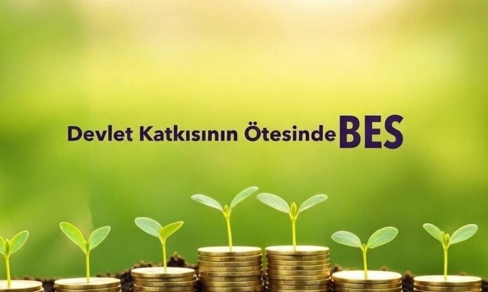 Türkiye Hayat Emeklilik, BES Raporu Yayınladı