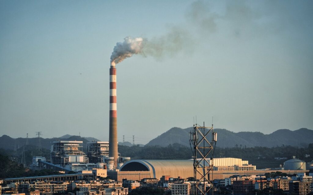 Yeşil Olmayan Kaybedecek | 26 Şubat 2026