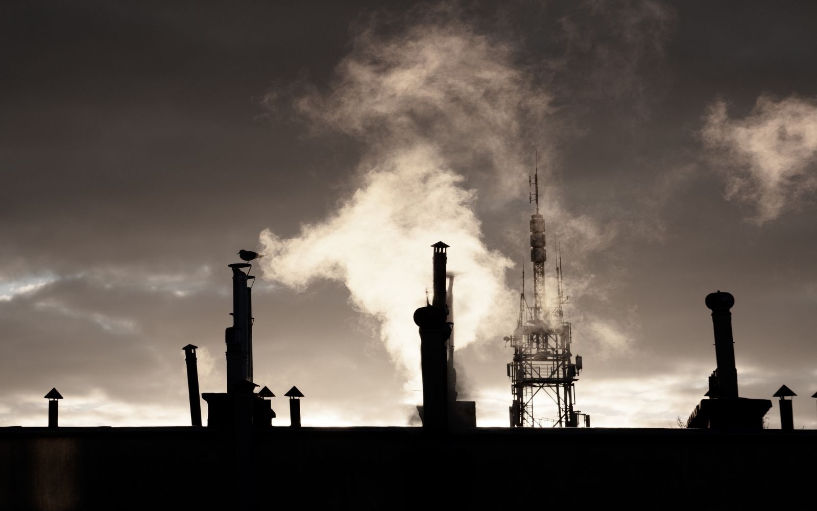 Yeşil Olmayan Kaybedecek