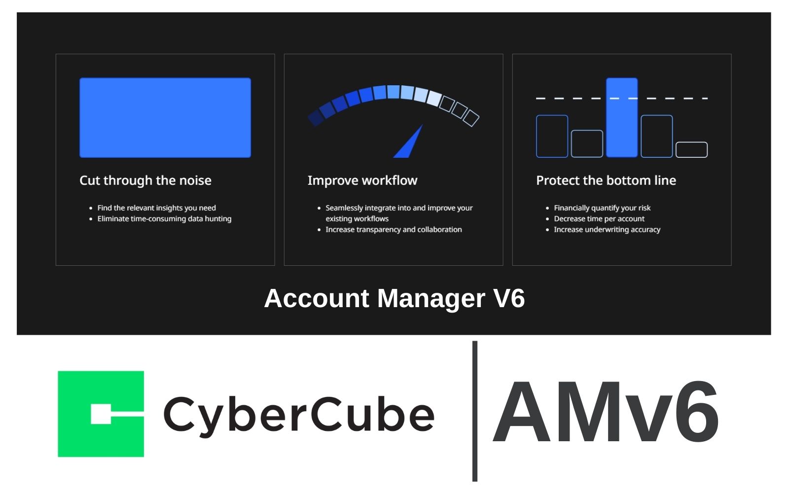 CyberCube Account Manager V6 Yayında