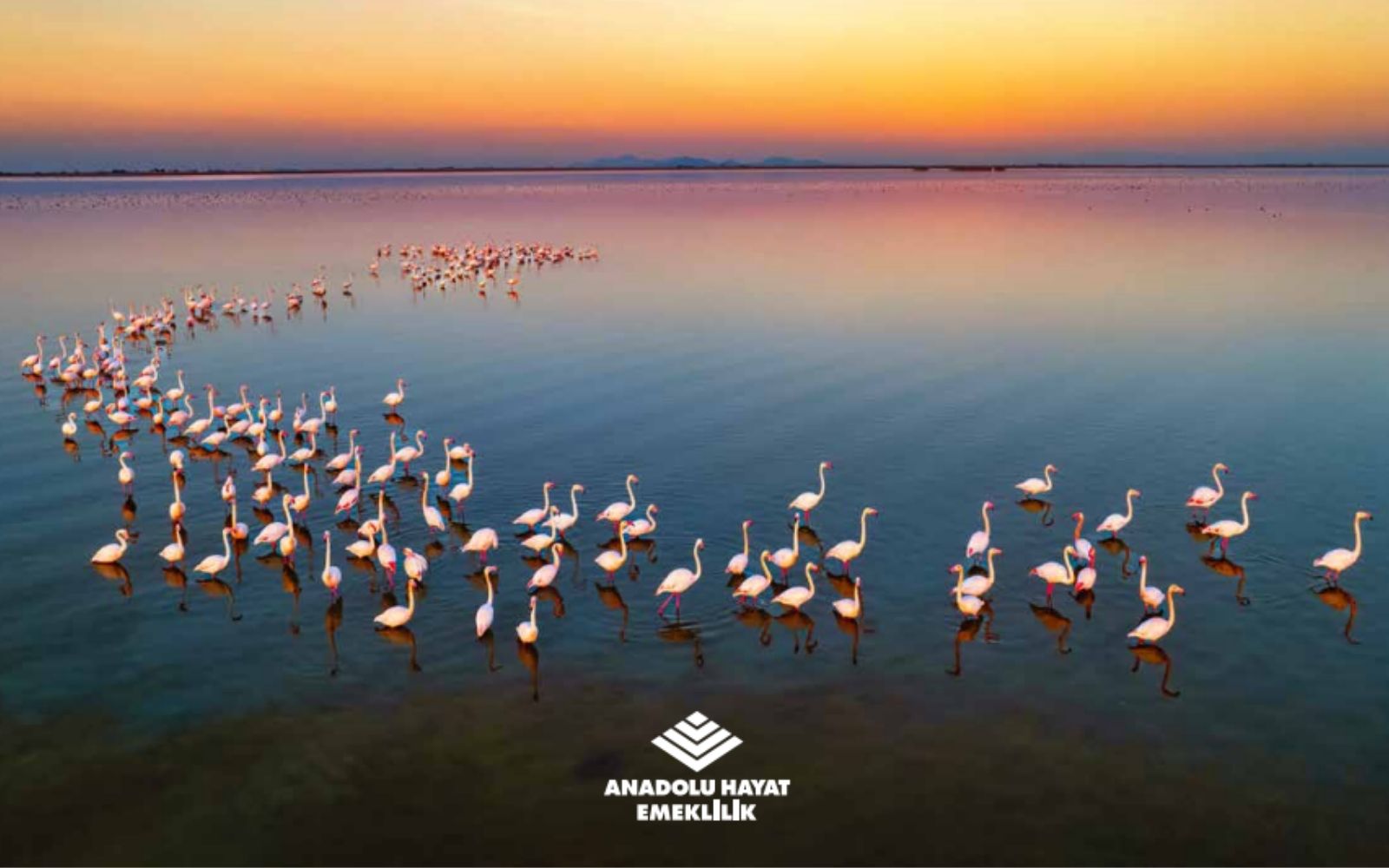 Anadolu Hayat Emeklilik 2025 Yılı Entegre Faaliyet Raporunu Yayımladı