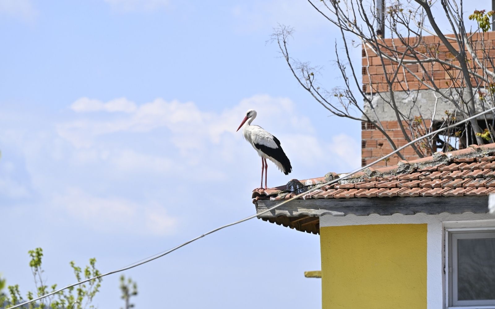 QNB Türkiye’den Çocuklar İçin Kuş Gözlemi Etkinliği