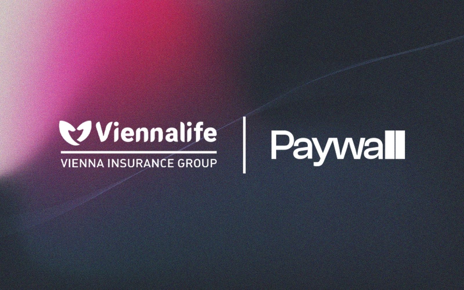 Viennalife Ve Paywall’dan Ödeme Teknolojileri İş Birliği
