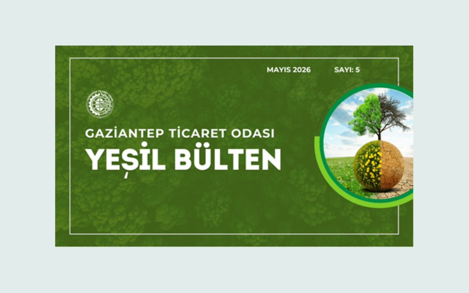 COP31 İklim Zirvesi Antalya’da Düzenlenecek