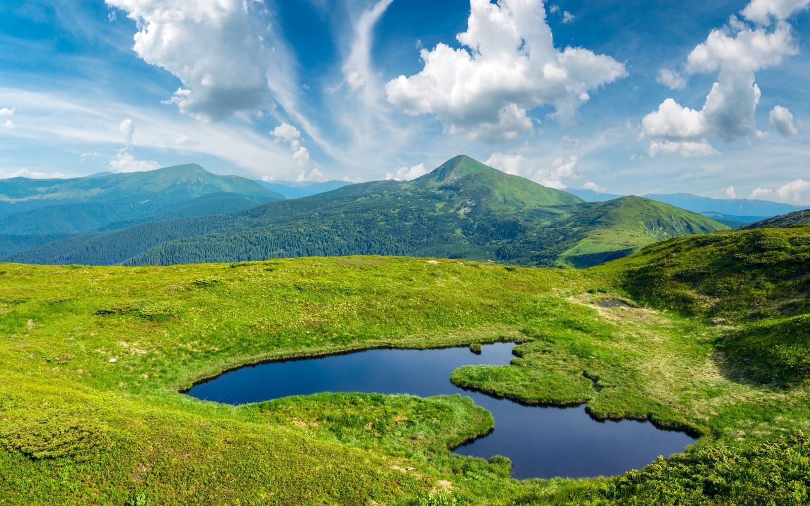 COP31 Türkiye İş Dünyası İçin Fırsattır