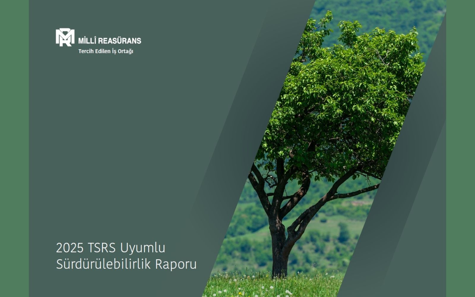 Millî Reasürans İkinci Sürdürülebilirlik Raporunu Yayımladı