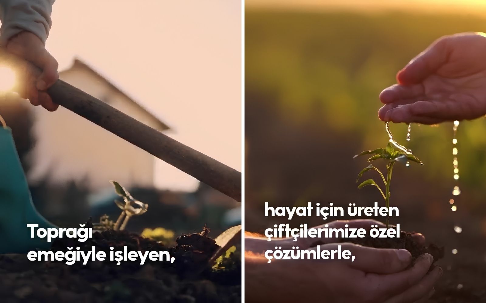 Anadolu Hayat Emeklilik’ten Çiftçilere Güvence