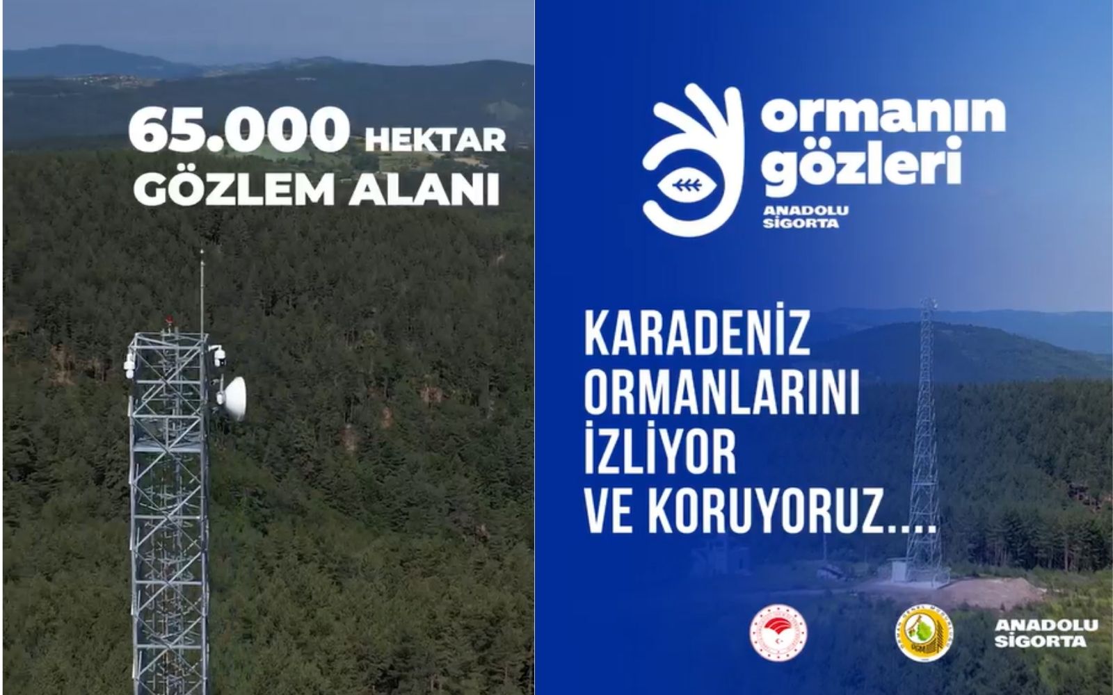 Anadolu Sigorta’dan Karadeniz Ormanlarına Koruma