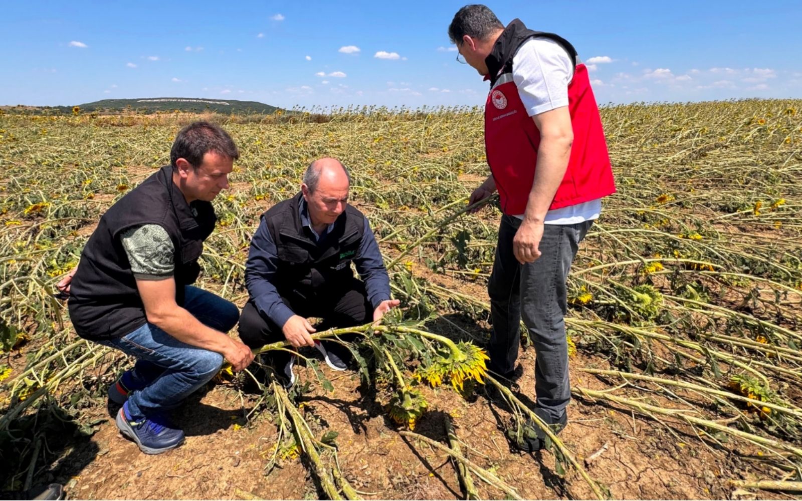 Tarsim Tekirdağ Hasar Sahasını İnceledi