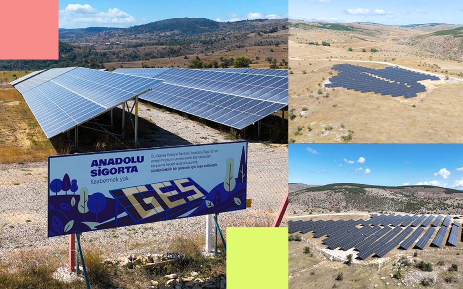 Anadolu Sigorta Sinop’ta Güneş Enerjisi Santrali Kurdu