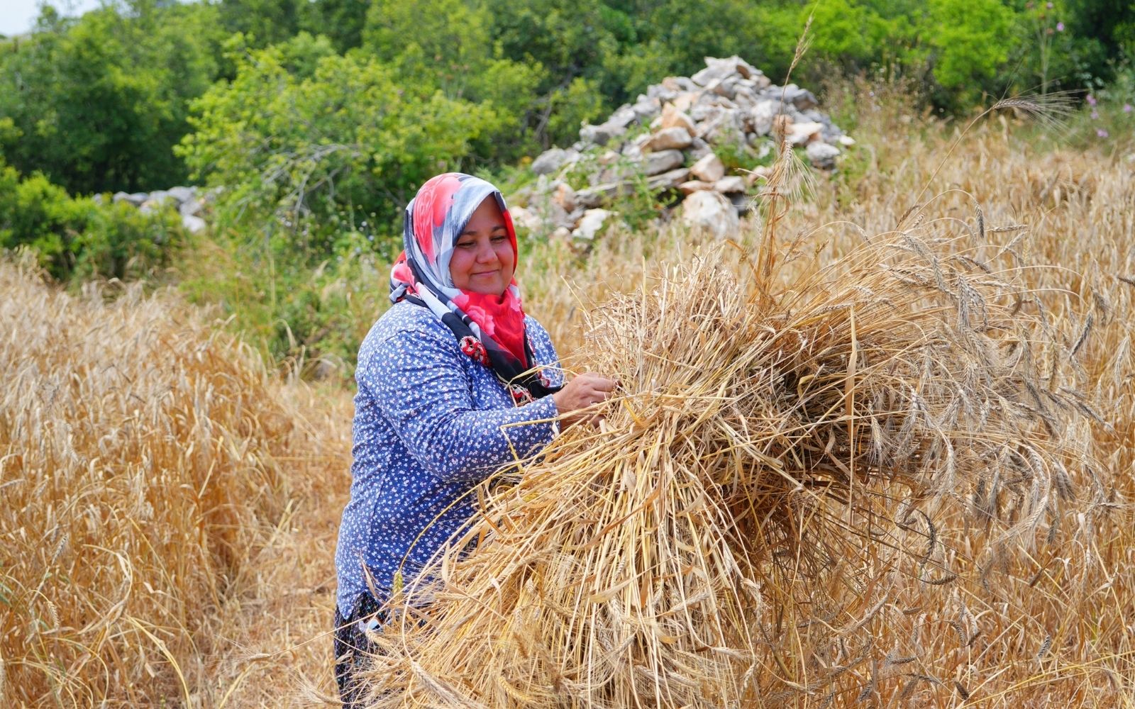 KEDV’den Deprem Bölgesinde Temiz Ekmek Projesi